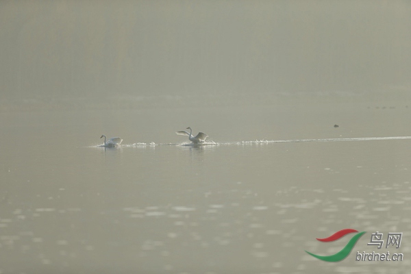 _E8J0641.jpg
