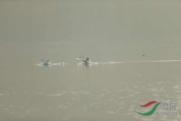_E8J0640.jpg