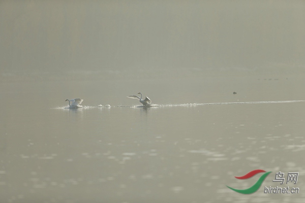 _E8J0639.jpg