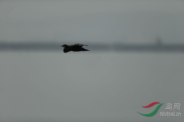 _E8J0648.jpg