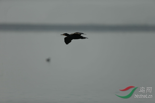 _E8J0650.jpg