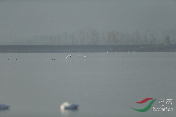 _E8J0672.jpg