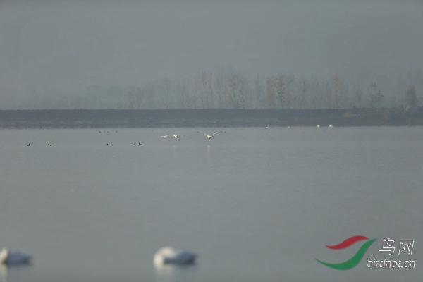 _E8J0671.jpg