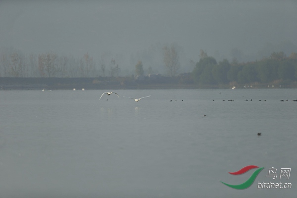 _E8J0676.jpg