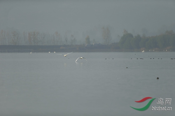 _E8J0674.jpg