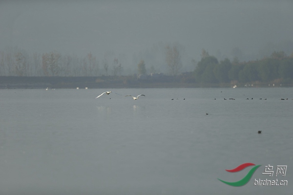 _E8J0675.jpg