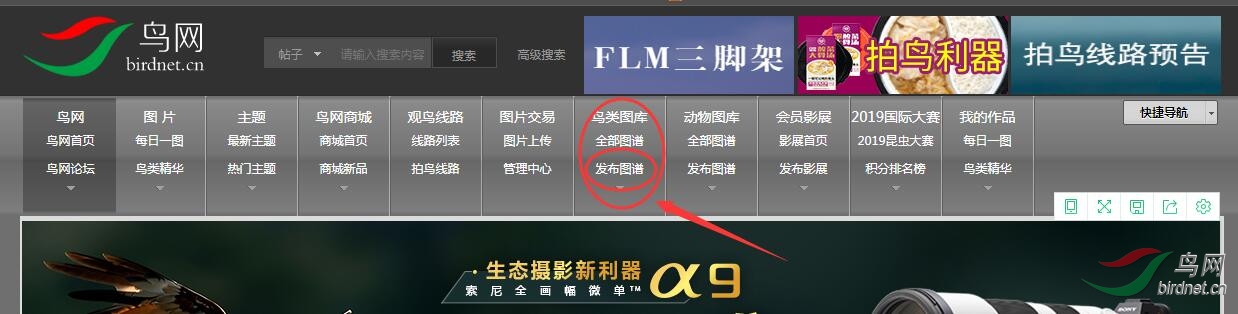 QQ��ͼ20191220095013.jpg