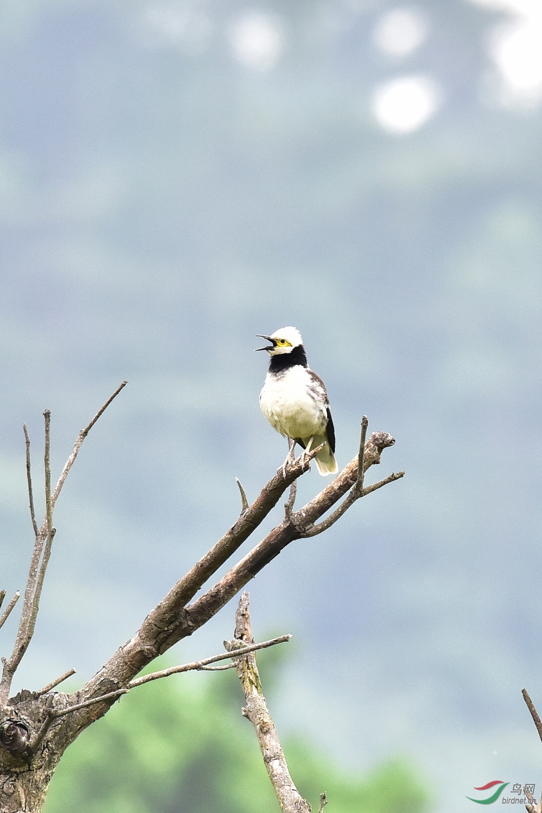 DSC_0621.JPG
