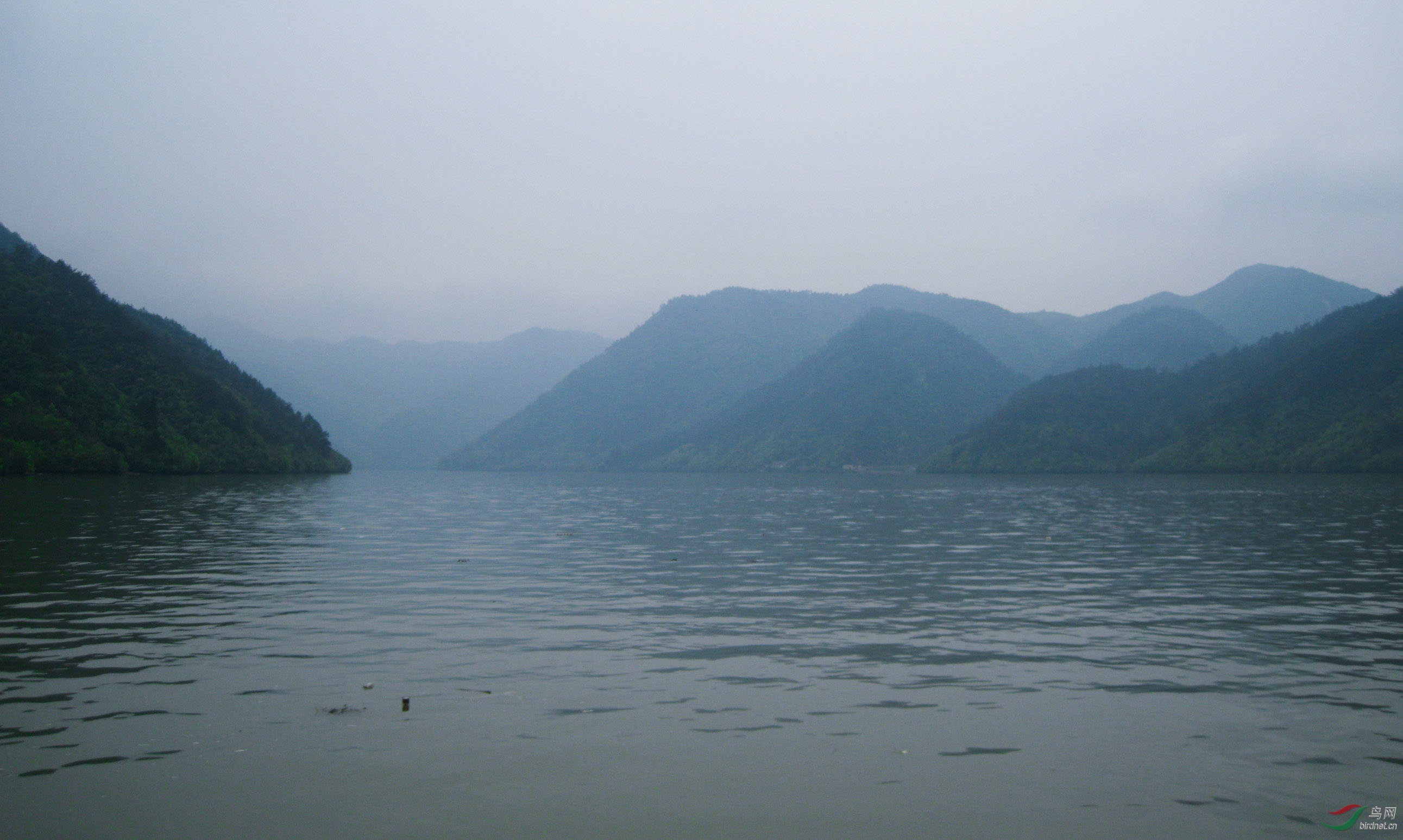 山水如画富春江祝贺老师佳作荣获首页精华