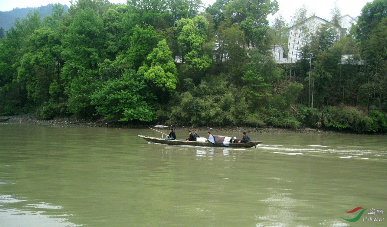 �������ϣ��ؽ�������ϲ���������ִ�ͳ��ľ�۳��У�