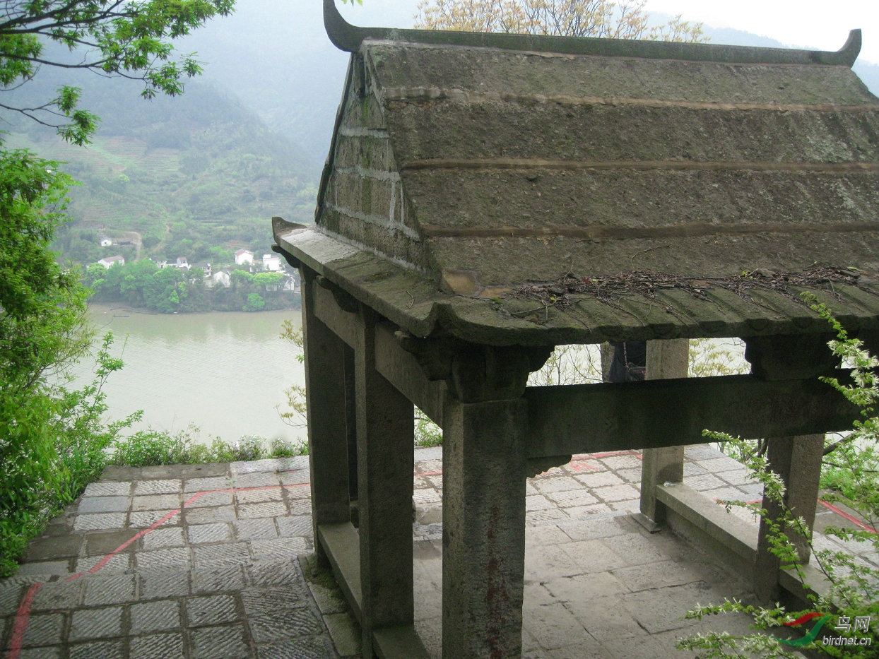 ��̨λ�ڴ�ֱ�ڽ���100���׸ߵ����¶��ϣ��Ϲ�����ʲô��ͣ���ô������