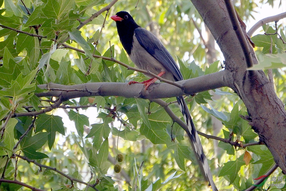 IMG_4007.jpg