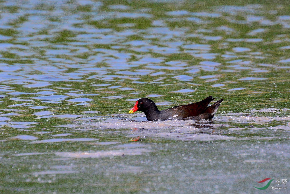 DSC_3299.JPG