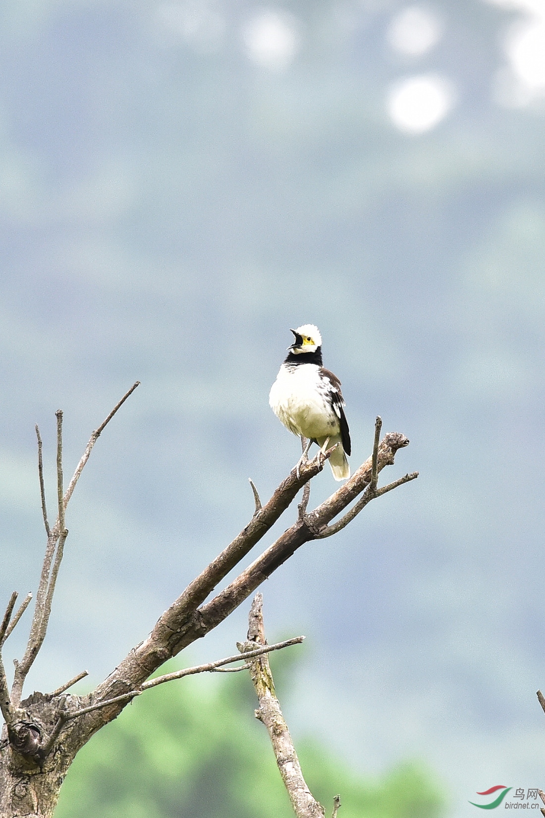 DSC_0625.JPG