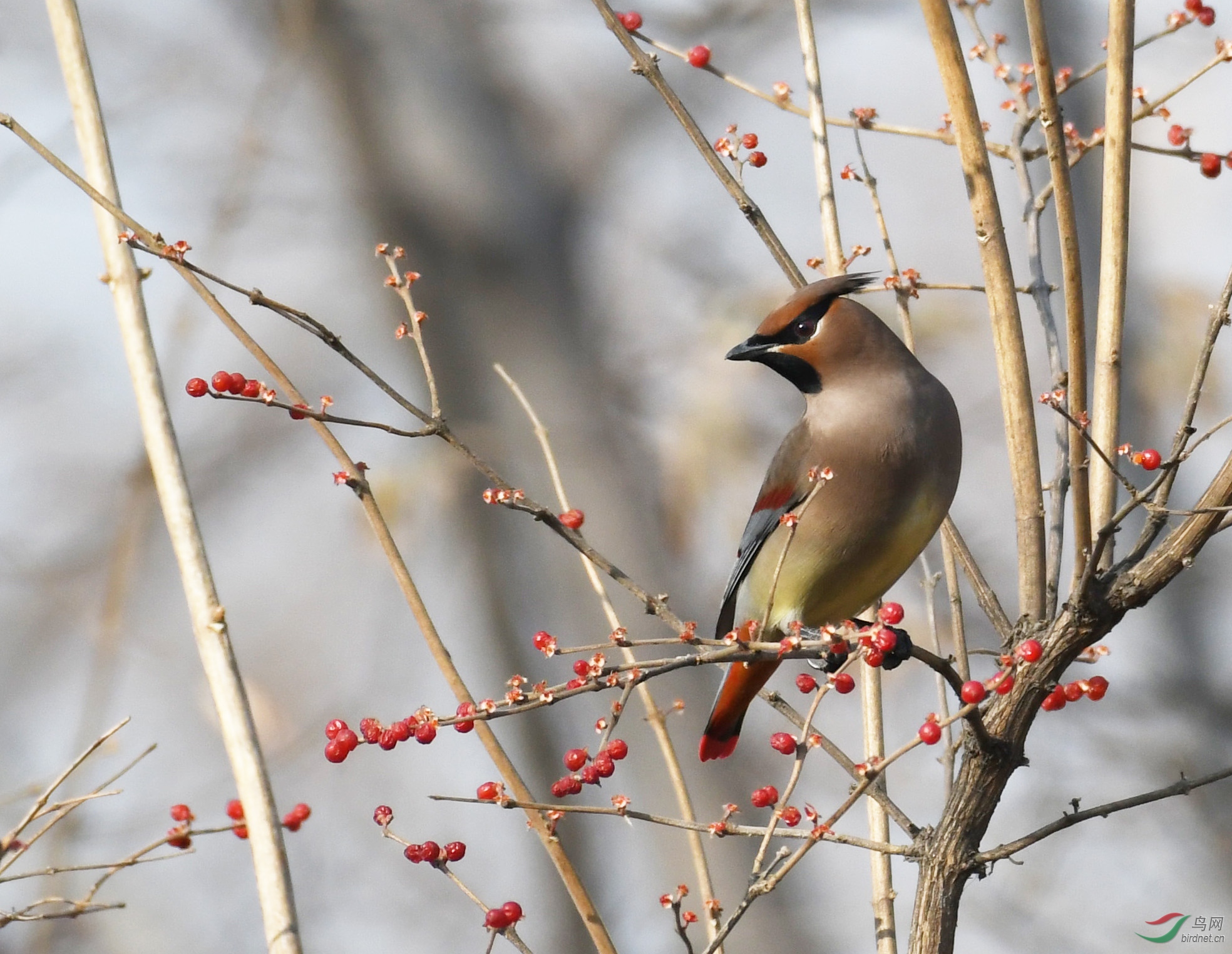 ������Ӱ 1206����.jpg