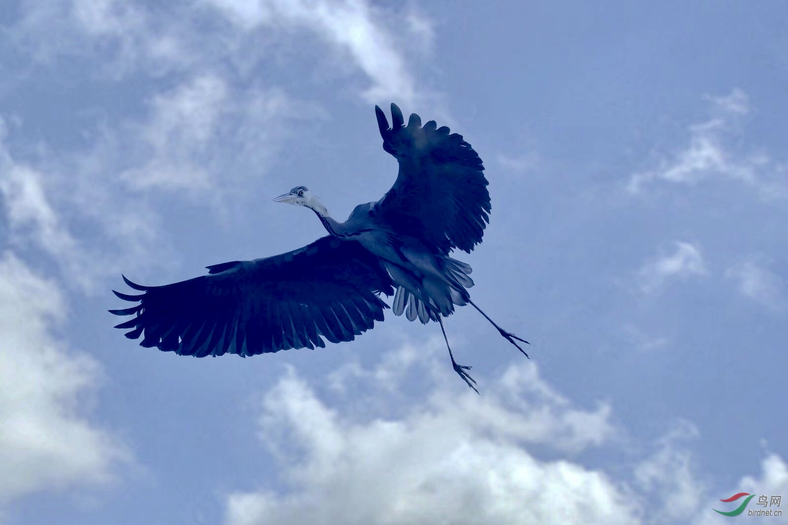 181230C8-228E-49FD-9DF1-E23E534C4624.jpeg