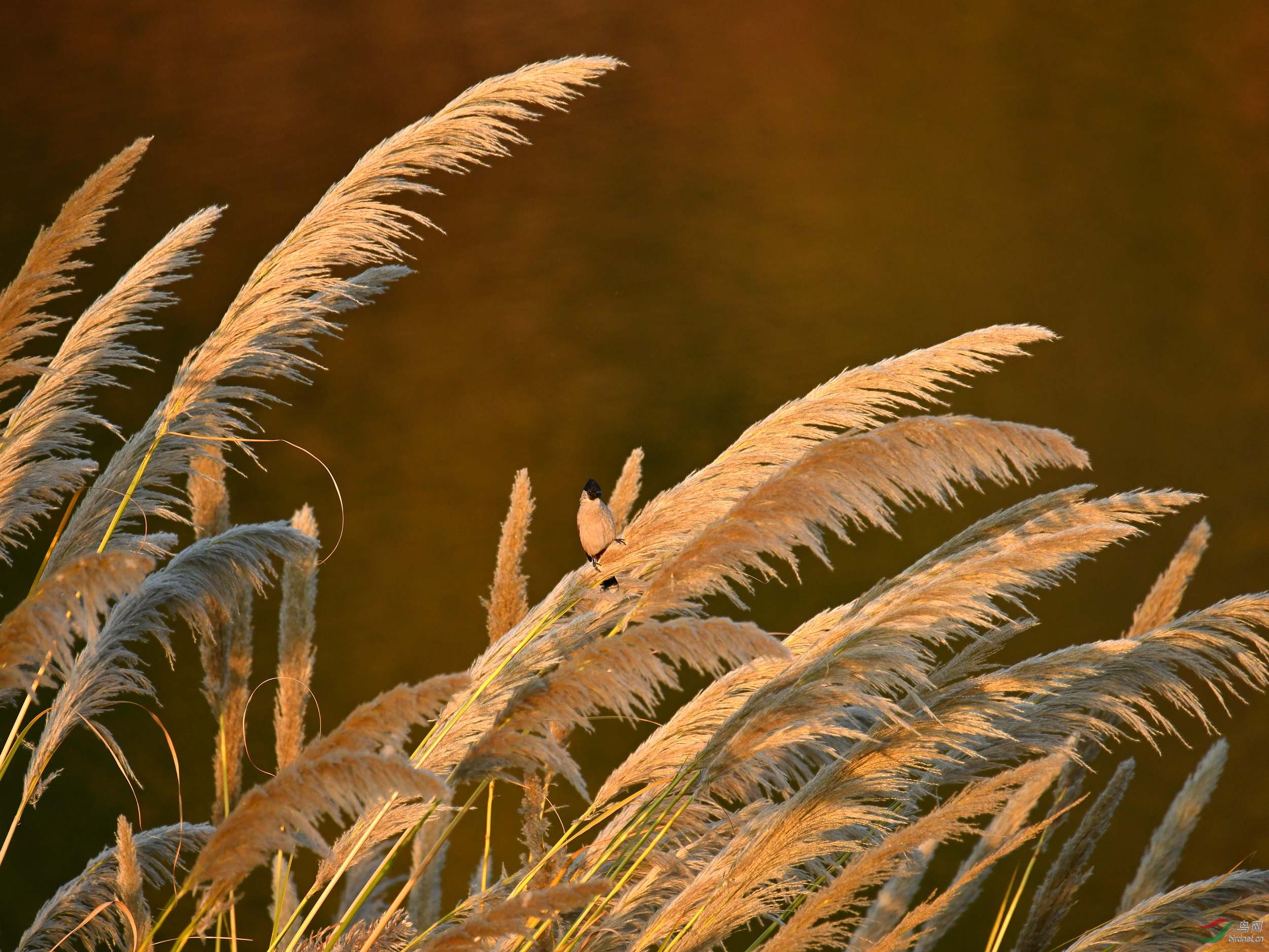 2019-12-11-ˮ��-1568 Сͼ.jpg