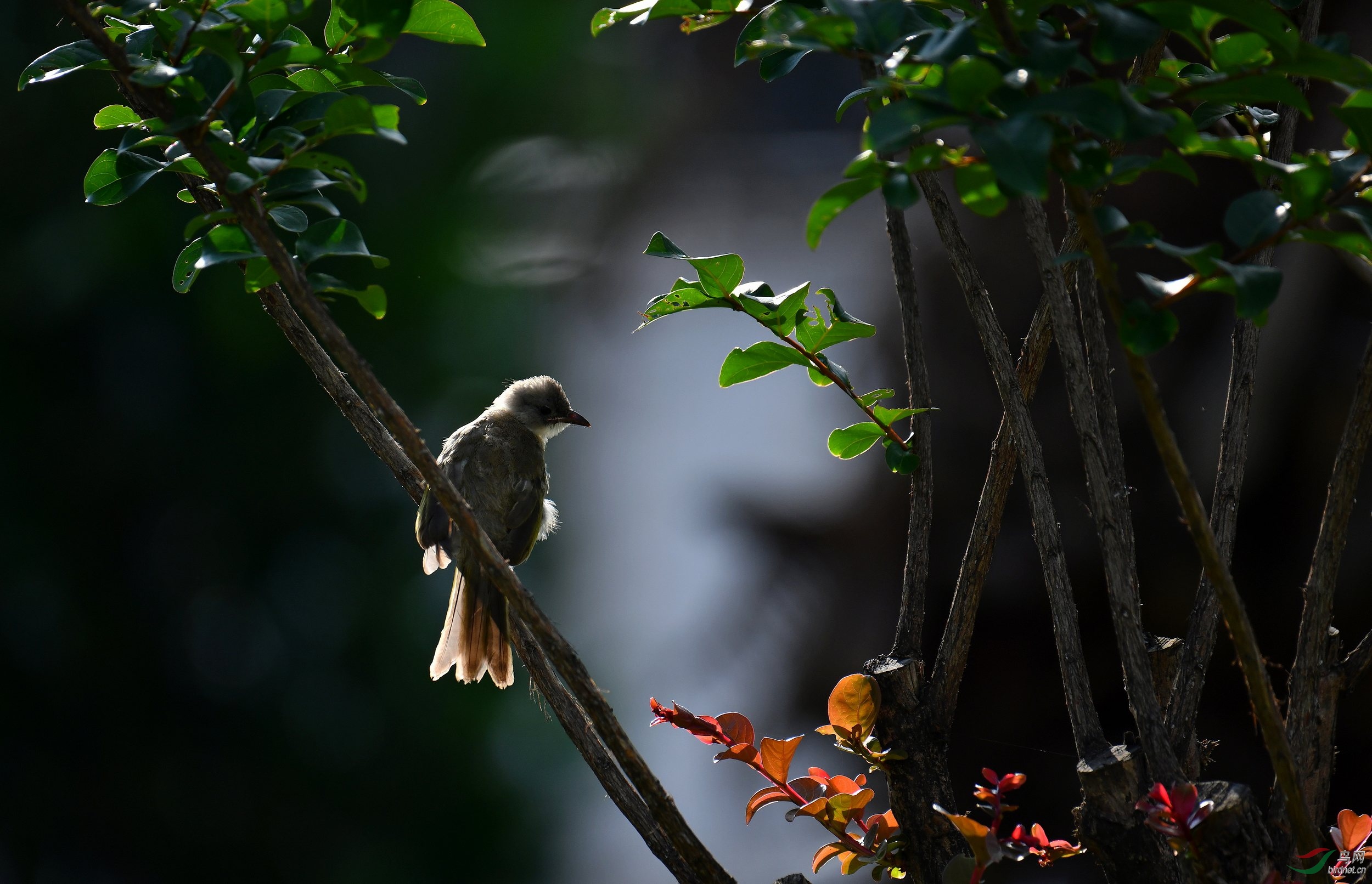 2019-05-30-����-23 Сͼ.jpg