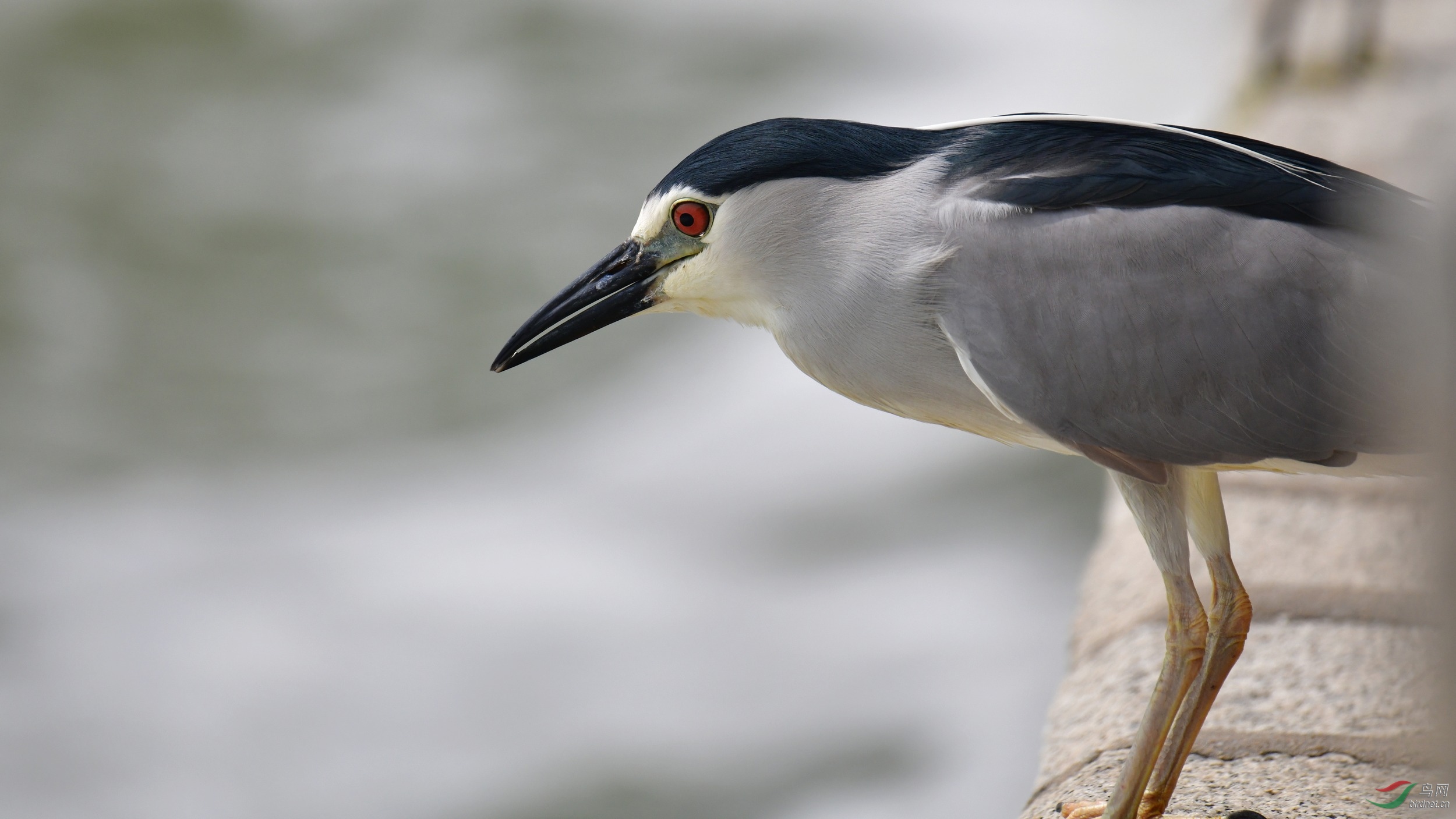 2019-05-21_�����῵-030 Сͼ.jpg