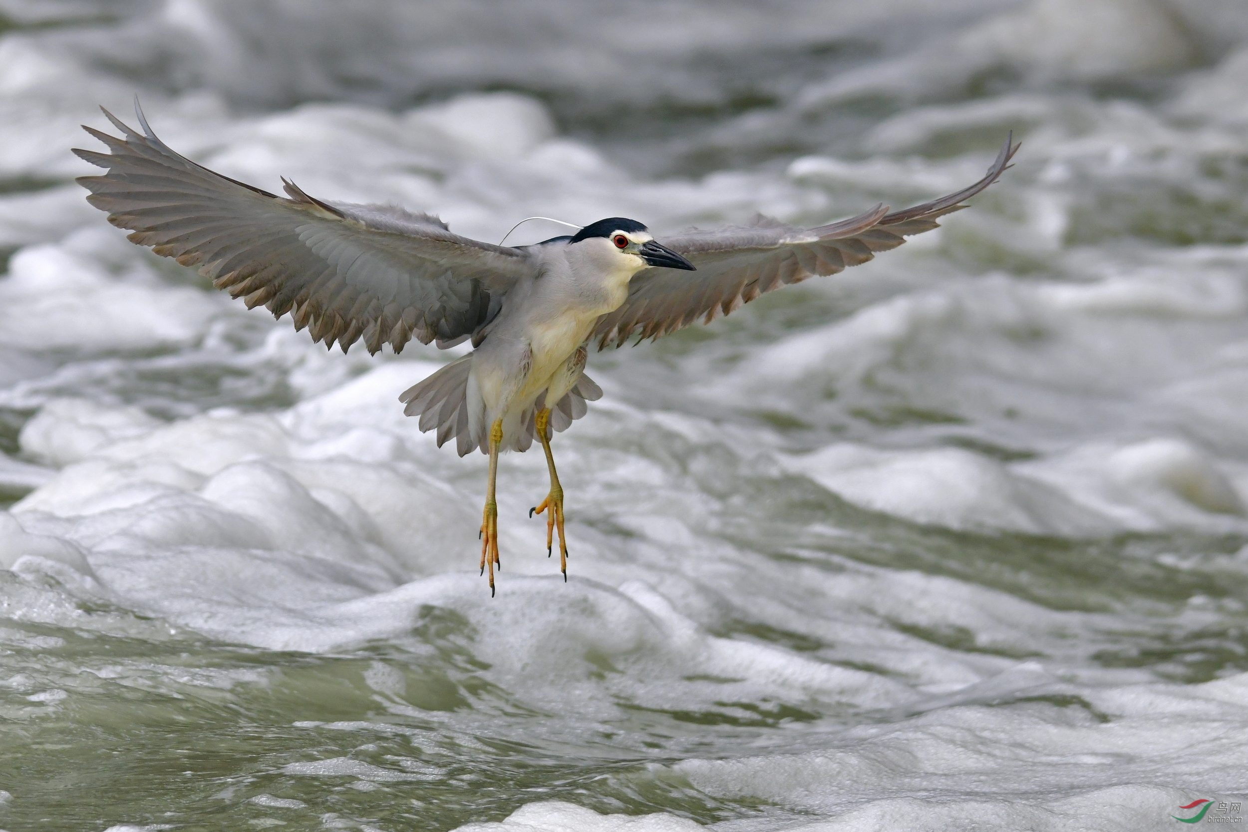 2019-05-21_�����῵-664 Сͼ.jpg