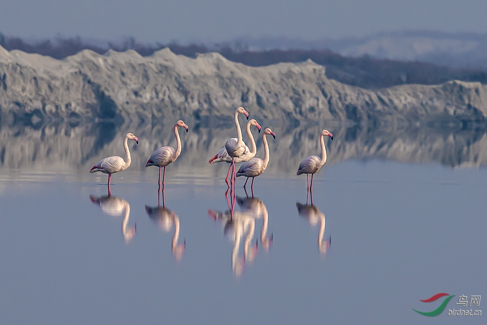 ������ɽ���˳��κ���