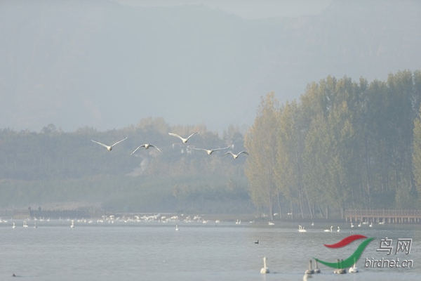 _E8J0452.jpg