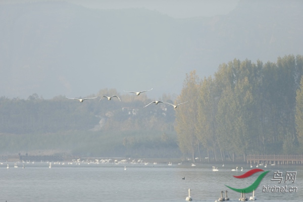 _E8J0456.jpg