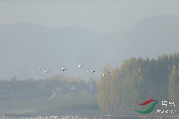 _E8J0457.jpg