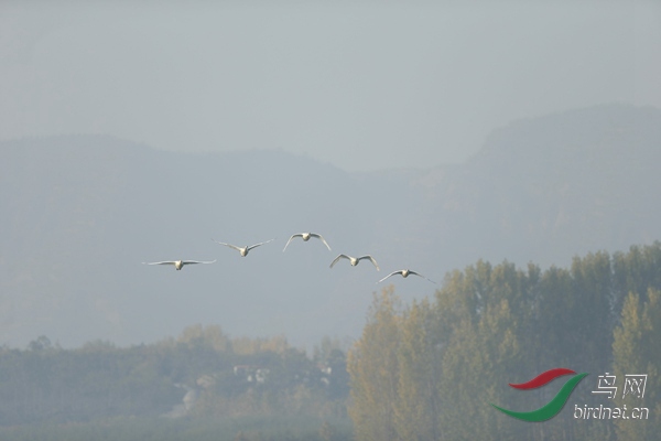 _E8J0461.jpg