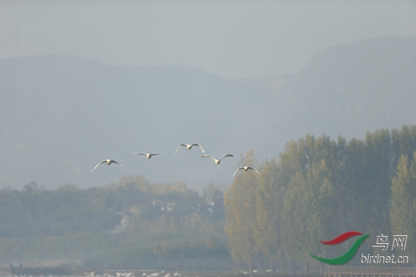 _E8J0459.jpg