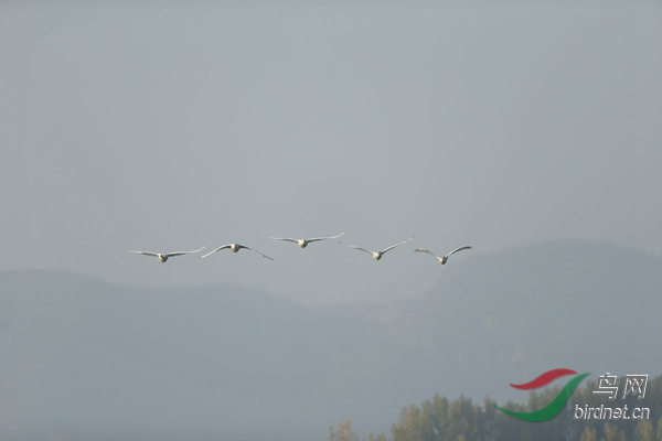 _E8J0475.jpg
