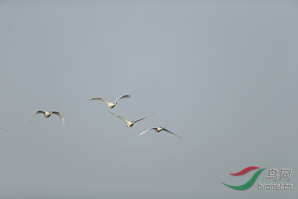 _E8J0492.jpg