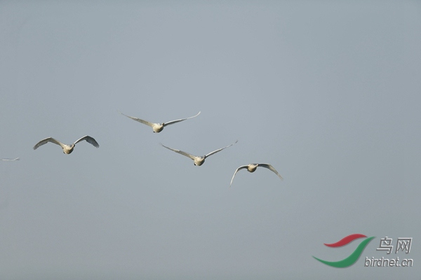 _E8J0499.jpg