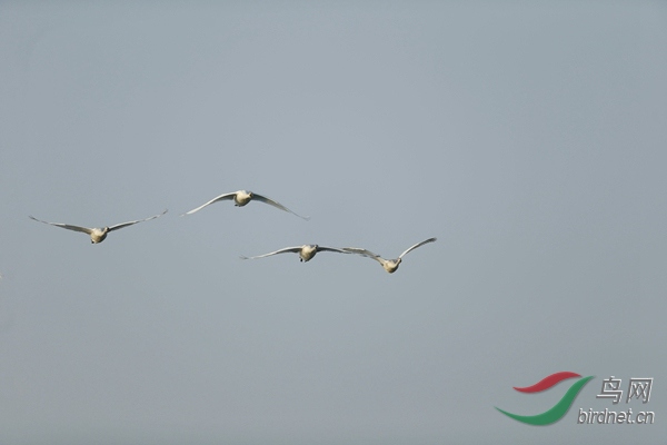 _E8J0500.jpg