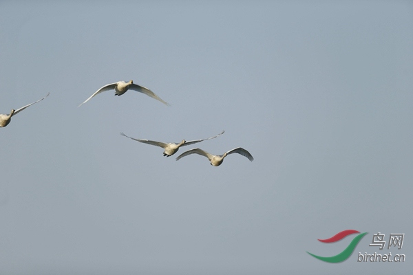 _E8J0503.jpg
