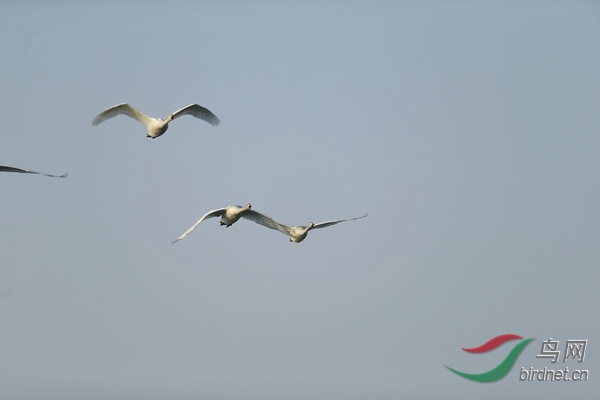 _E8J0504.jpg