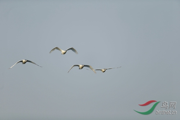 _E8J0501.jpg