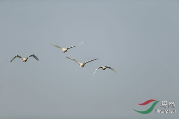 _E8J0502.jpg