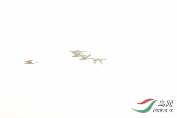 _E8J0509.jpg