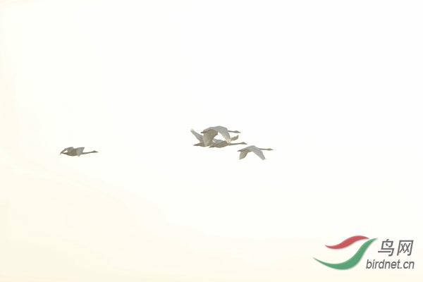 _E8J0508.jpg