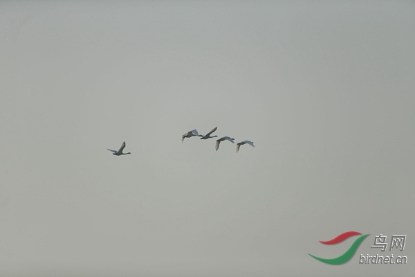 _E8J0518.jpg