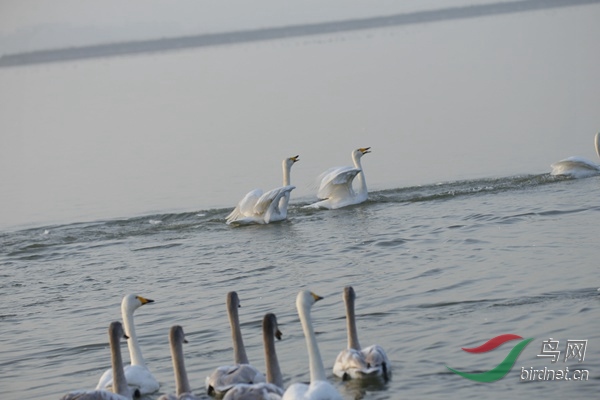 _E8J0238.jpg