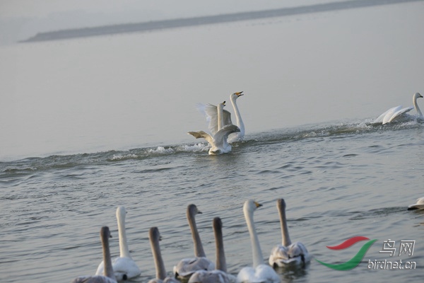 _E8J0236.jpg