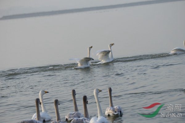 _E8J0237.jpg