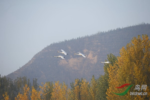 _E8J0247.jpg