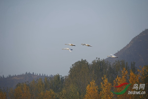 _E8J0251.jpg