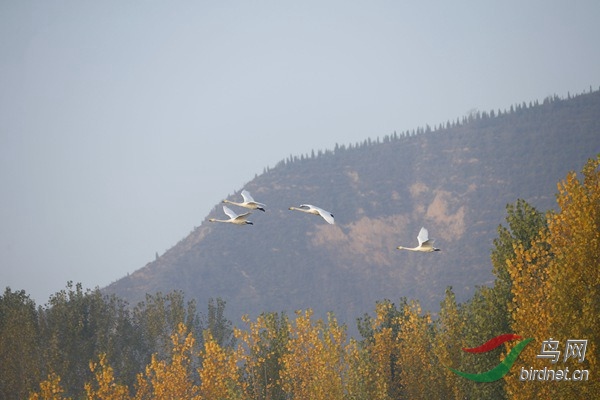 _E8J0249.jpg