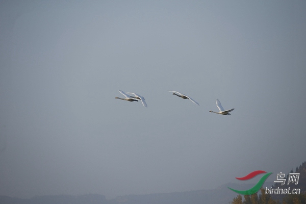 _E8J0266.jpg