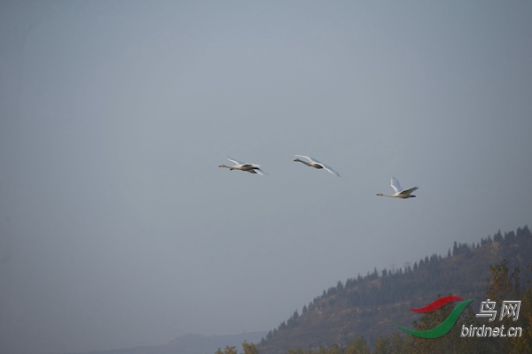 _E8J0262.jpg