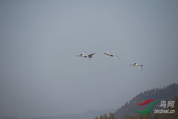 _E8J0264.jpg